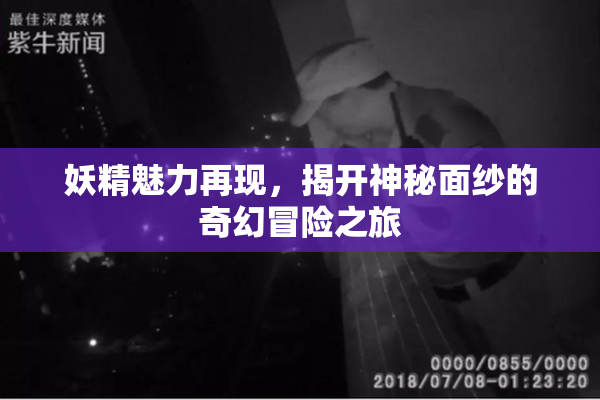 妖精魅力再现，揭开神秘面纱的奇幻冒险之旅