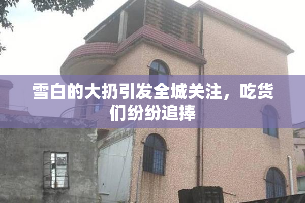 雪白的大扔引发全城关注，吃货们纷纷追捧