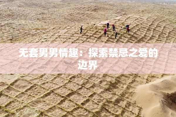 无套男男情趣：探索禁忌之爱的边界