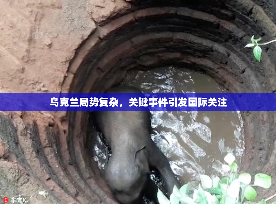 乌克兰局势复杂，关键事件引发国际关注