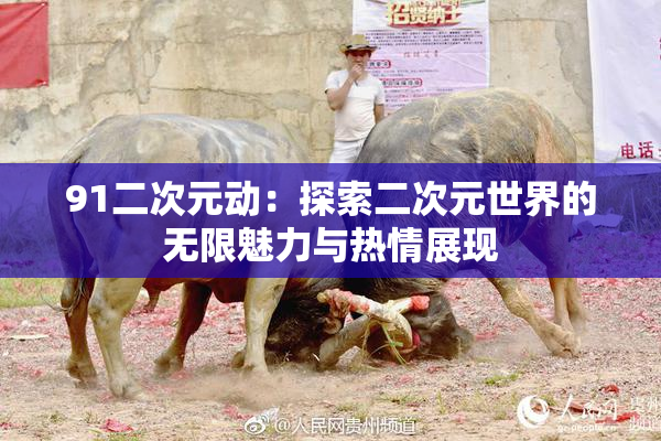 91二次元动：探索二次元世界的无限魅力与热情展现