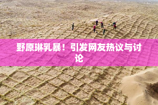 野原琳乳暴！引发网友热议与讨论