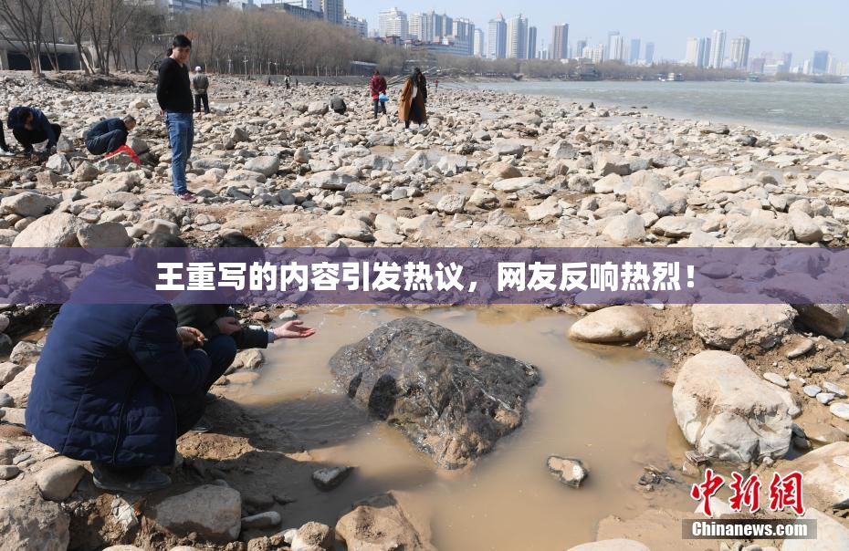 王重写的内容引发热议，网友反响热烈！