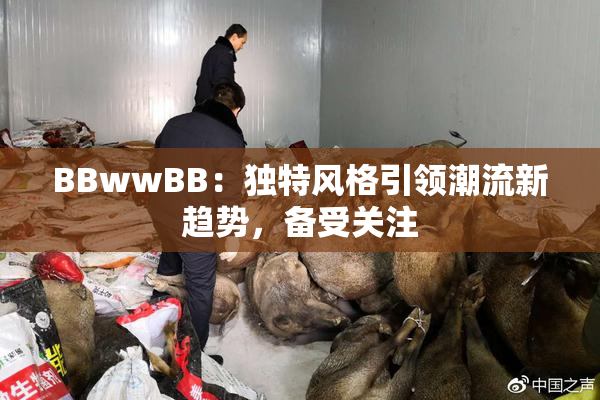 BBwwBB：独特风格引领潮流新趋势，备受关注