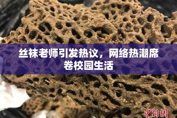 丝袜老师引发热议，网络热潮席卷校园生活