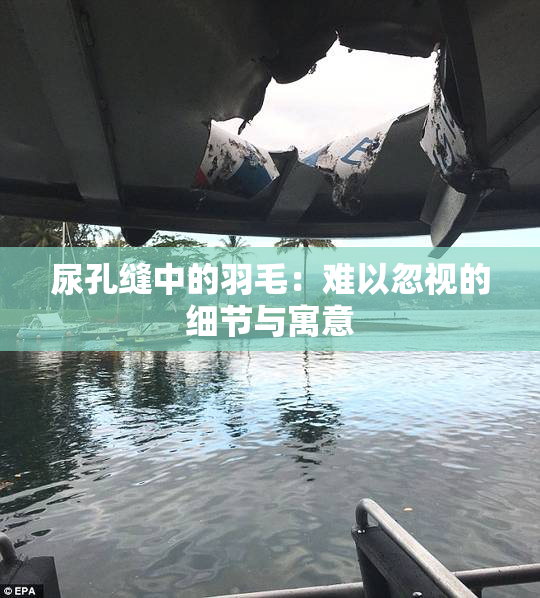 尿孔缝中的羽毛：难以忽视的细节与寓意