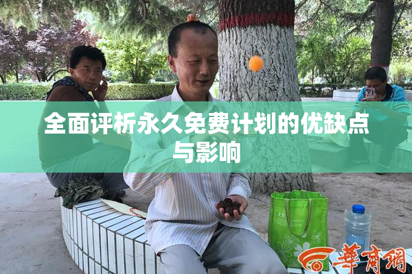 全面评析永久免费计划的优缺点与影响