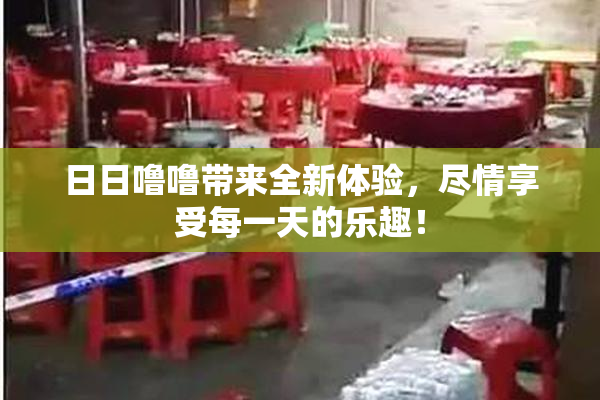 日日噜噜带来全新体验，尽情享受每一天的乐趣！