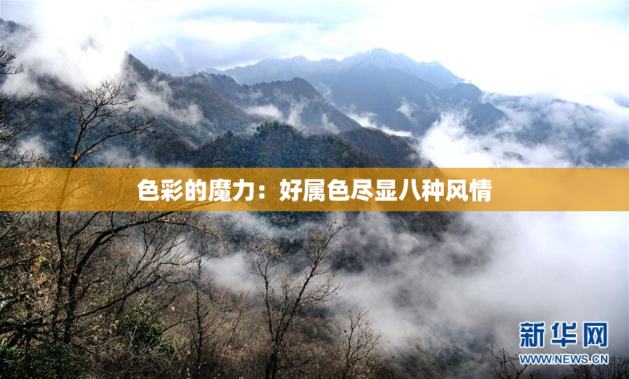 色彩的魔力：好属色尽显八种风情