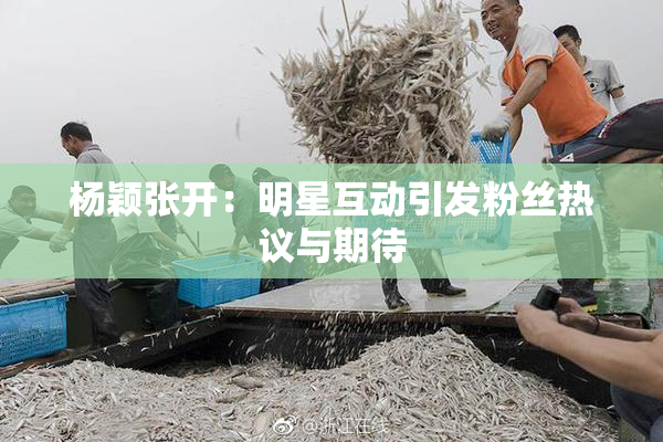 杨颖张开：明星互动引发粉丝热议与期待