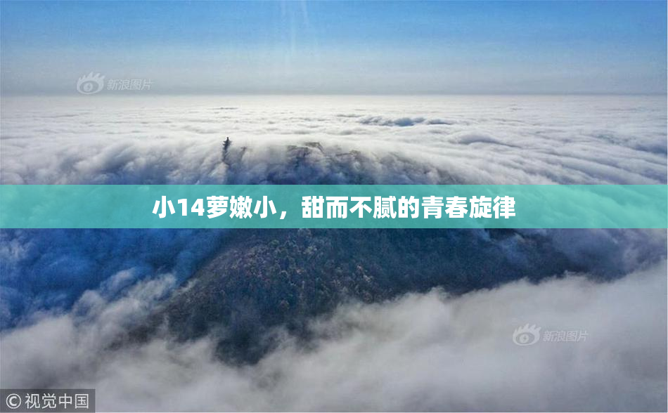 小14萝嫩小，甜而不腻的青春旋律