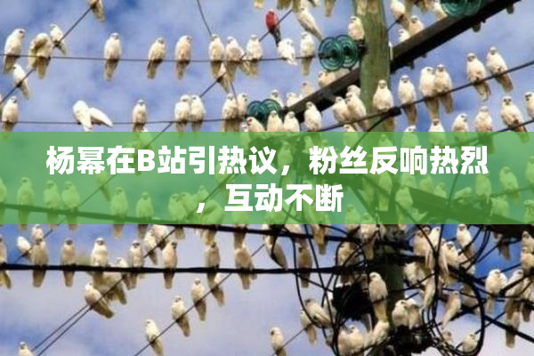 杨幂在B站引热议，粉丝反响热烈，互动不断