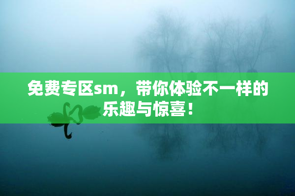 免费专区sm，带你体验不一样的乐趣与惊喜！