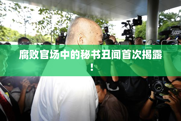 腐败官场中的秘书丑闻首次揭露！