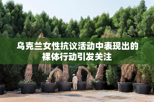 乌克兰女性抗议活动中表现出的裸体行动引发关注