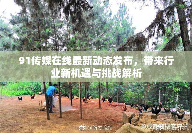 91传媒在线最新动态发布，带来行业新机遇与挑战解析