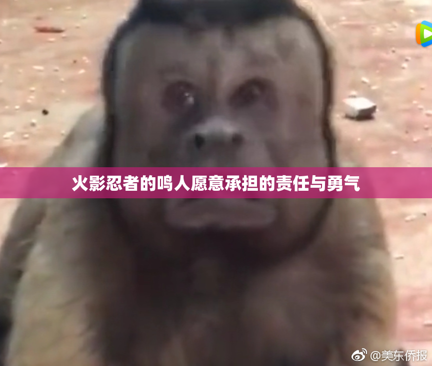 火影忍者的鸣人愿意承担的责任与勇气