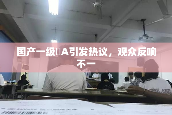 国产一级婬A引发热议，观众反响不一