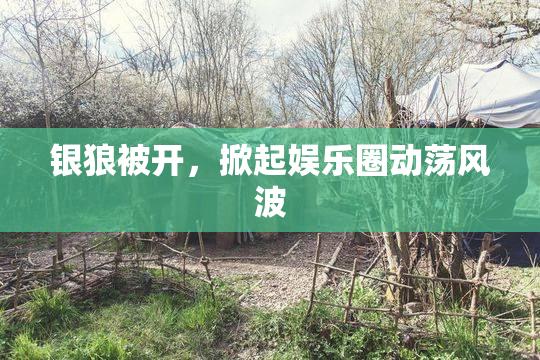银狼被开，掀起娱乐圈动荡风波