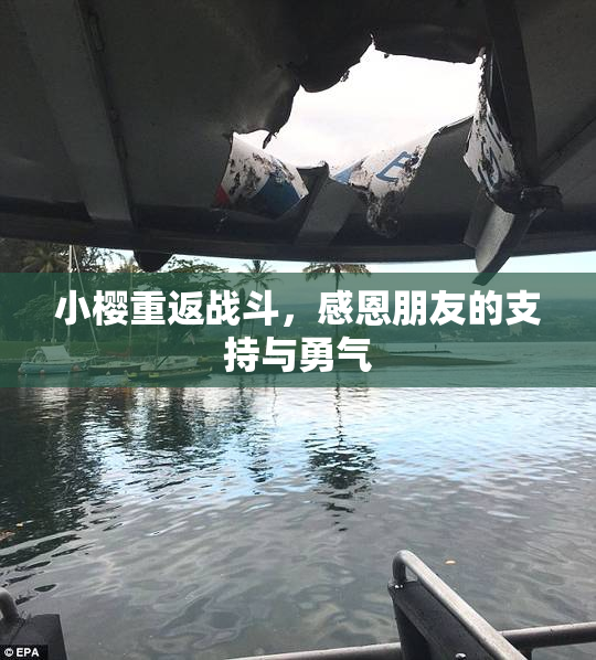 小樱重返战斗，感恩朋友的支持与勇气