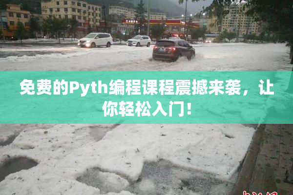 免费的Pyth编程课程震撼来袭，让你轻松入门！