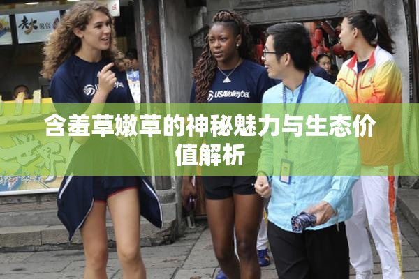 含羞草嫩草的神秘魅力与生态价值解析
