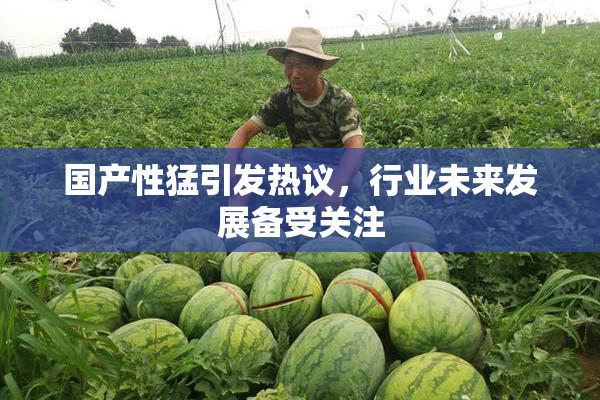 国产性猛引发热议，行业未来发展备受关注