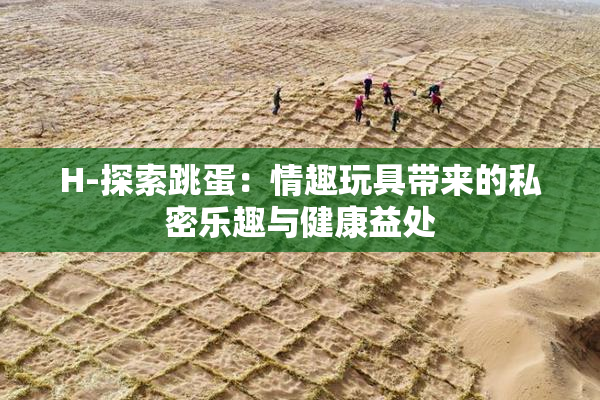 H-探索跳蛋：情趣玩具带来的私密乐趣与健康益处