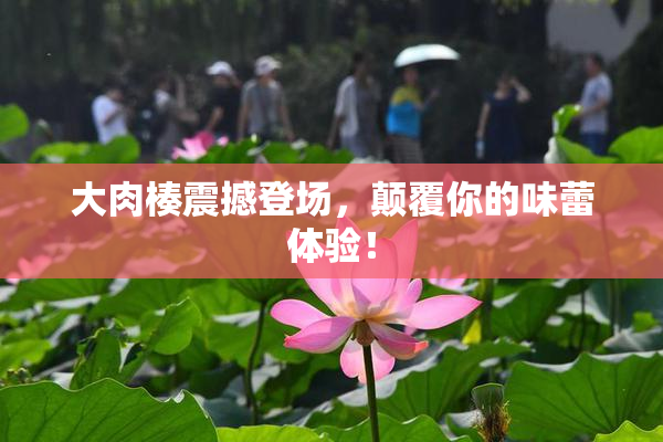 大肉楱震撼登场，颠覆你的味蕾体验！