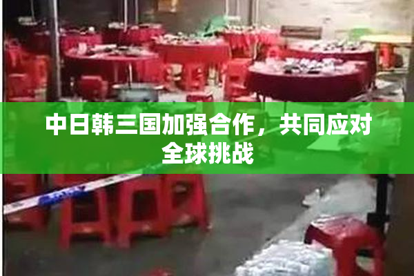 中日韩三国加强合作，共同应对全球挑战