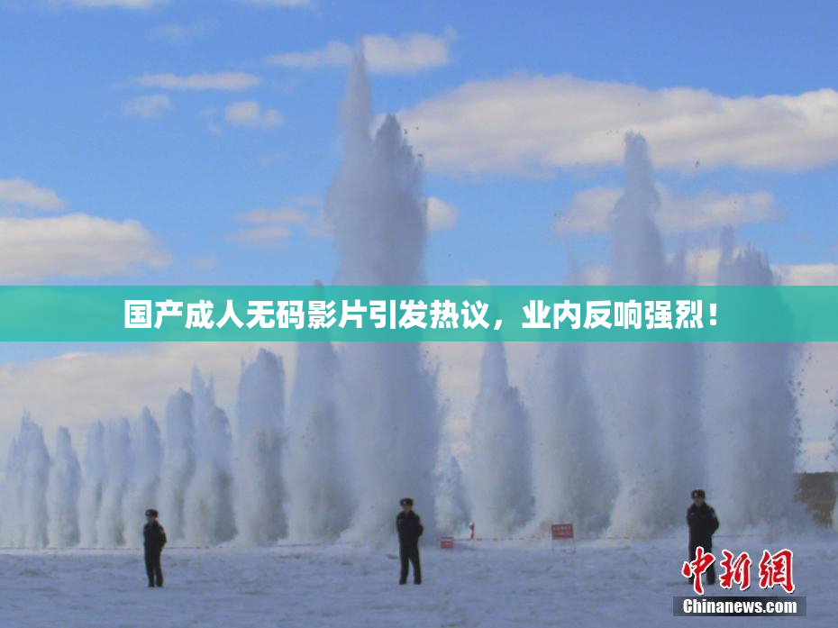 国产成人无码影片引发热议，业内反响强烈！