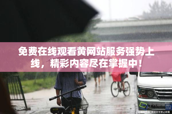 免费在线观看黄网站服务强势上线，精彩内容尽在掌握中！