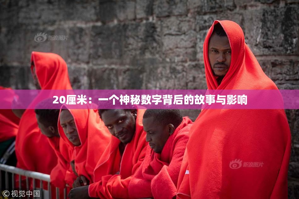 20厘米：一个神秘数字背后的故事与影响