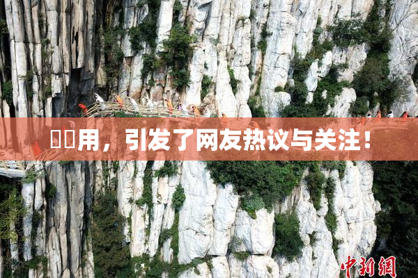 妺妺用，引发了网友热议与关注！