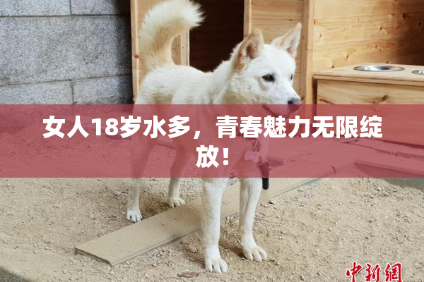 女人18岁水多，青春魅力无限绽放！