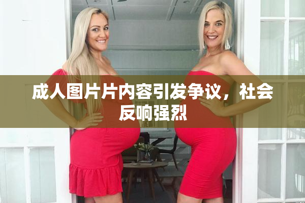 成人图片片内容引发争议，社会反响强烈