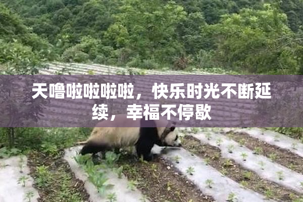 天噜啦啦啦啦，快乐时光不断延续，幸福不停歇