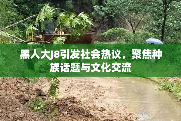 黑人大J8引发社会热议，聚焦种族话题与文化交流