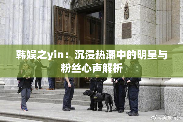 韩娱之yin：沉浸热潮中的明星与粉丝心声解析