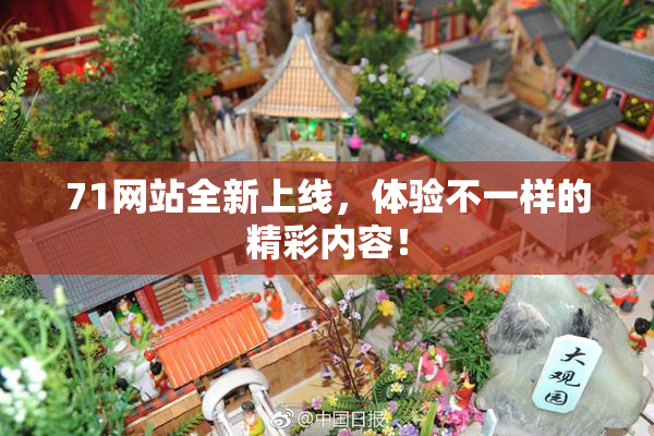 71网站全新上线，体验不一样的精彩内容！