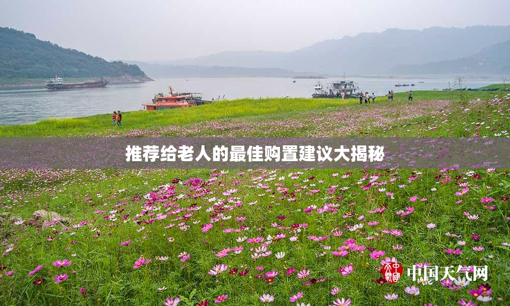 推荐给老人的最佳购置建议大揭秘