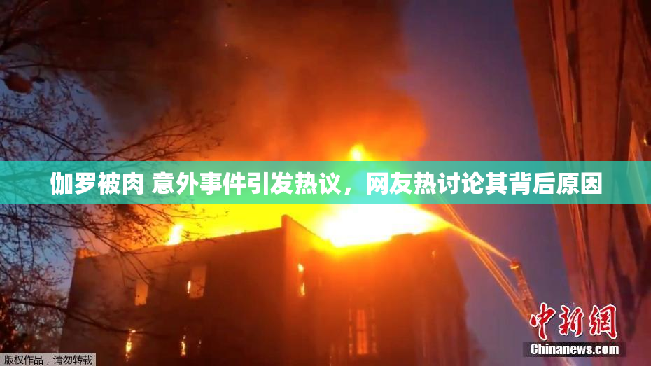 伽罗被肉 意外事件引发热议，网友热讨论其背后原因