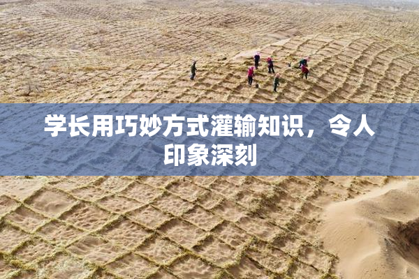 学长用巧妙方式灌输知识，令人印象深刻