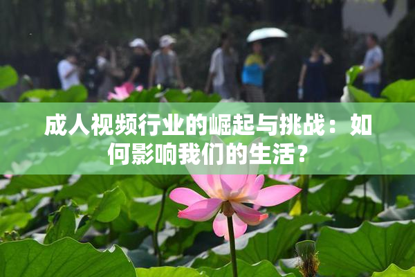成人视频行业的崛起与挑战：如何影响我们的生活？