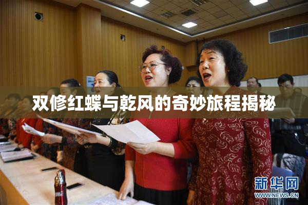 双修红蝶与乾风的奇妙旅程揭秘