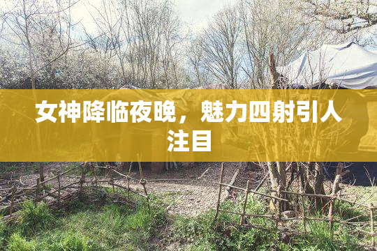女神降临夜晚，魅力四射引人注目