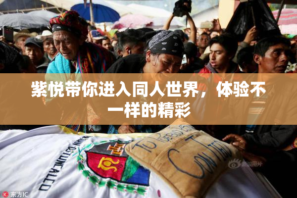 紫悦带你进入同人世界，体验不一样的精彩