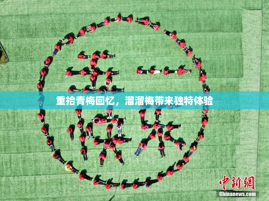 重拾青梅回忆，溜溜梅带来独特体验