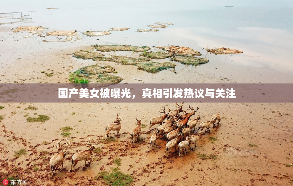 国产美女被曝光，真相引发热议与关注