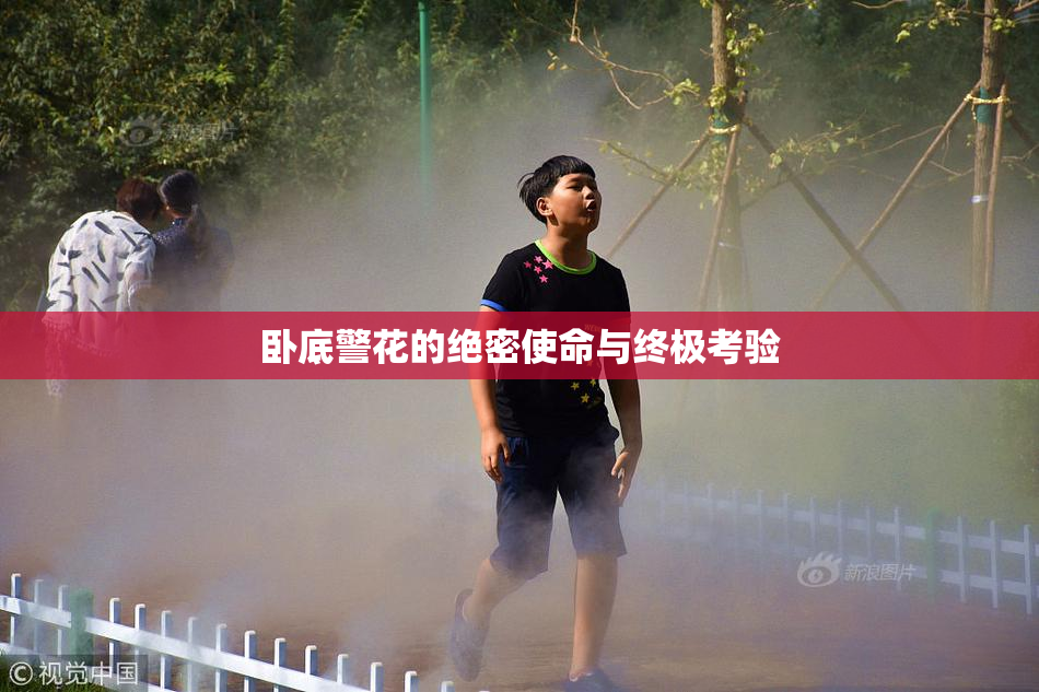 卧底警花的绝密使命与终极考验